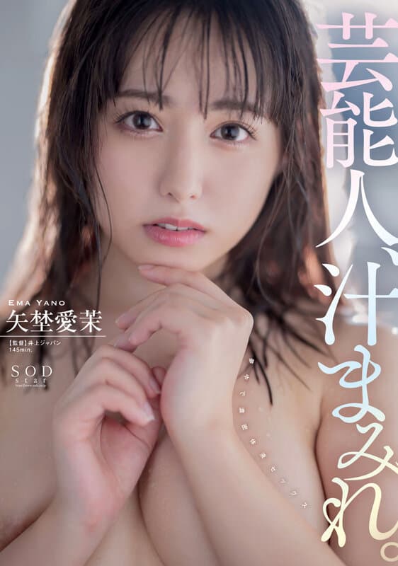 矢埜愛茉 初総集編!芸能界からAV DEBUTしたSODSTARの20タイトル20SEX豪華10時間スペシャルのサンプル画像
