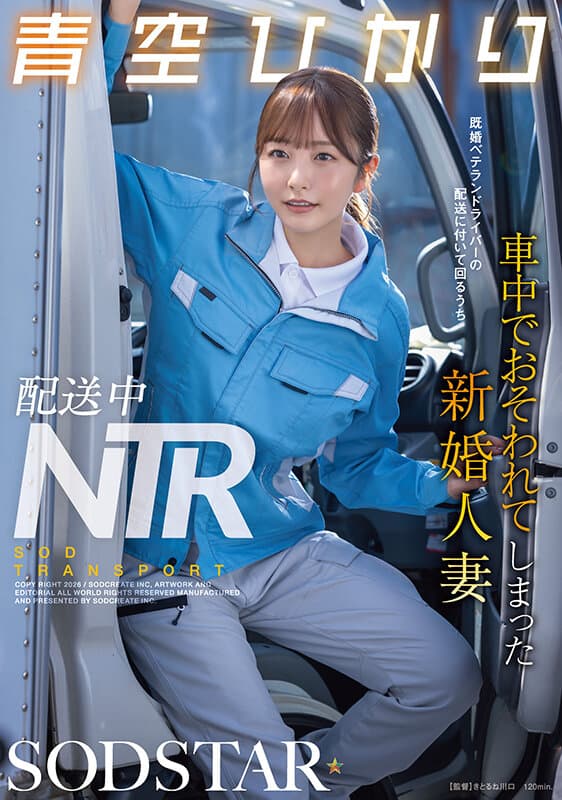 配送中NTR 既婚ベテランドライバーの配送に付いて回るうち車中でおそわれてしまった新婚人妻 青空ひかりのサンプル画像